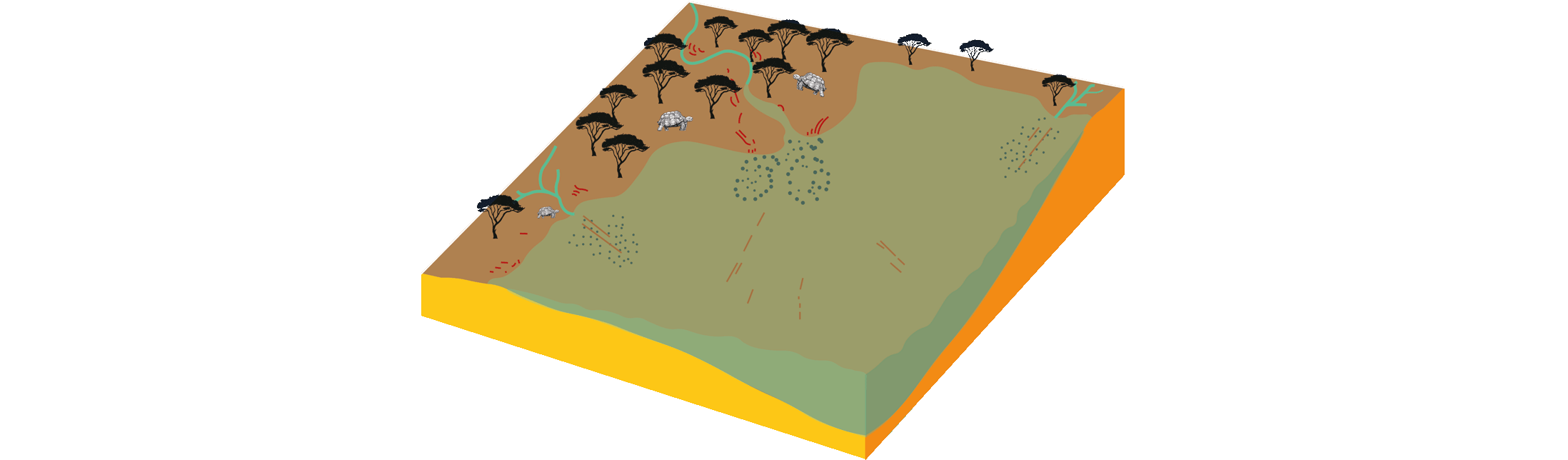 Dibujo esquemático del ambiente en la Cuenca cenozoica del Duero